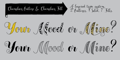 Chameleon Font Poster 7