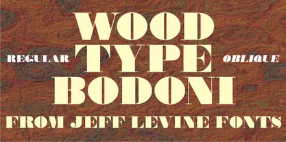 Wood Type Bodoni JNL Font Poster 1