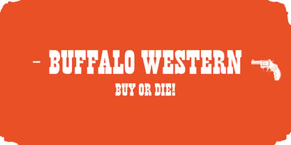 Buffalo Western Font Poster 2
