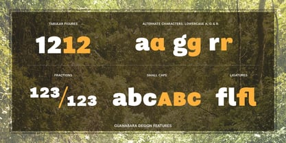 Guanabara Sans Font Poster 4