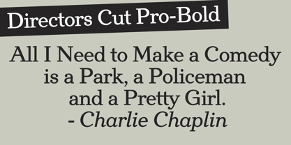 Directors Cut Pro Police Poster 4