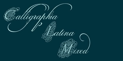 Calligraphia Latina Mixed Font Poster 2