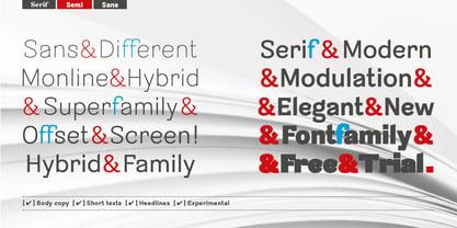 Sintesi Semi Font Poster 2