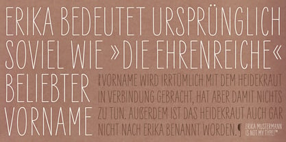 LiebeErika Font Poster 4