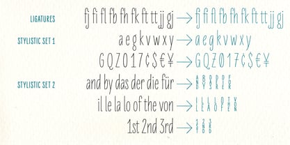 LiebeErika Font Poster 13