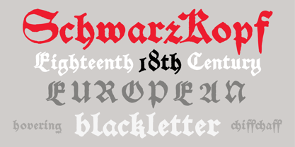 Schwarzkopf Font Poster 1