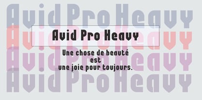 Avid Pro Font Poster 1
