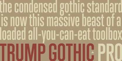 Trump Gothic Pro Font Poster 2