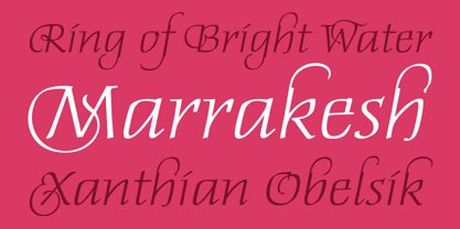 Daphne Script Font Poster 3