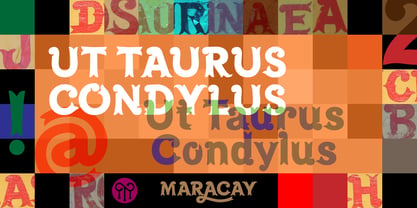 Maracay Font Poster 17