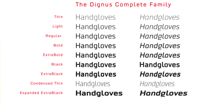 Dignus Font Poster 3