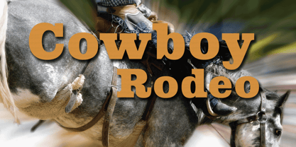 Cowboy Rodeo Font Poster 1