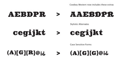 Cowboy Western Font Poster 6