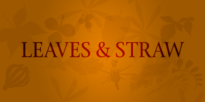 Leaves & Straw Font Poster 1