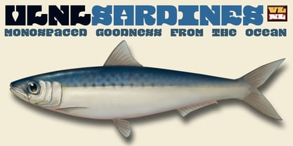 VLNL Sardines Font Poster 4