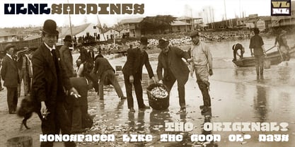 VLNL Sardines Police Affiche 6