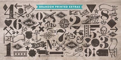 Brandon Printed Fuente Póster 5