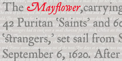P22 Mayflower Fuente Póster 1