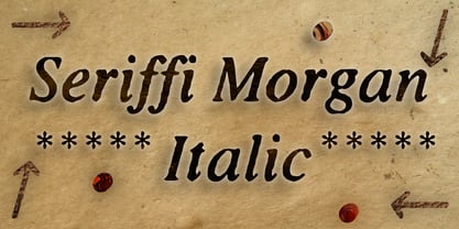 Seriffi Morgan Font Poster 4