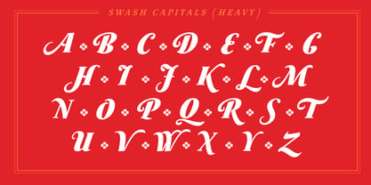 Australis Pro Swash Font Poster 10