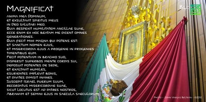 Guadalupana Fuente Póster 6