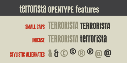 Terrorista Font Poster 7