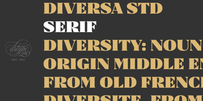 Diversa Std Font Poster 3