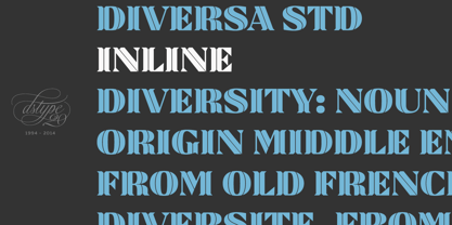 Diversa Std Font Poster 5