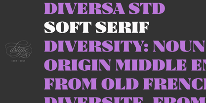 Diversa Std Font Poster 6