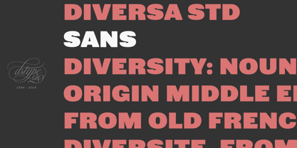 Diversa Std Font Poster 7