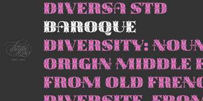 Diversa Std Font Poster 11