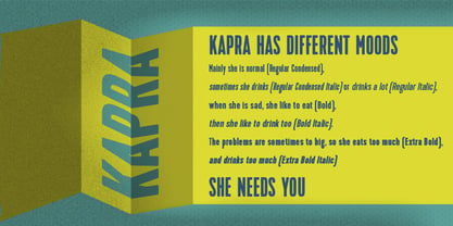 Kapra Police Poster 7