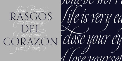 Dream Script Font Poster 9