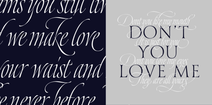 Dream Script Font Poster 7