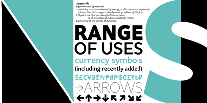 Range Sans Font Poster 9