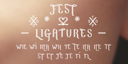 NT Fest Font Poster 3