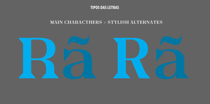 TDL Ruha Hairline Font Poster 8