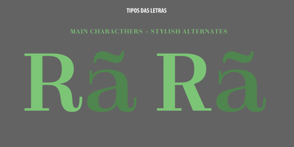 TDL Ruha Hairline Font Poster 3