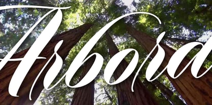 Arbordale Font Poster 1