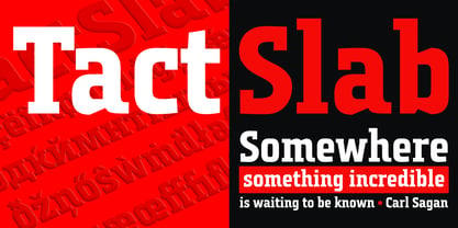 Tact Slab Police Poster 2