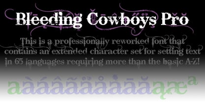 Bleeding Cowboys Pro Font Poster 4