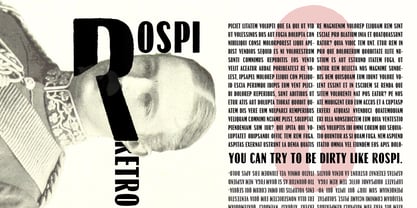 Rospi Clean and Retro Font Poster 5