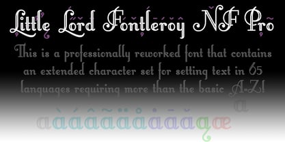 Fontleroy NF Pro Font Poster 4