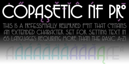 Copasetic NF Pro Font Poster 5