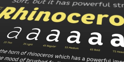 Core Rhino Font Poster 5