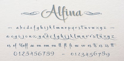 Alfina Police Poster 1