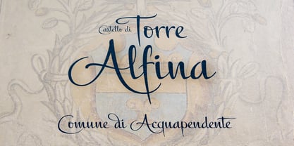 Alfina Fuente Póster 2