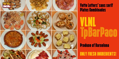 VLNL TpBarPaco Font Poster 3