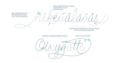 Flirt Script Font Poster 3