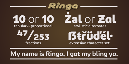 Ringo Font Poster 2